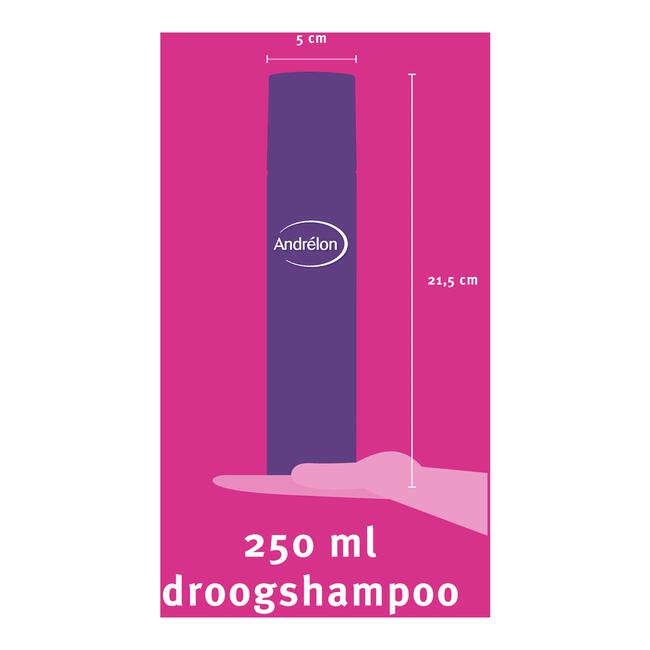 Andrélon Pink Big Volume Droogshampoo 250 ML