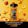AXE Peach Infusion Showergel 225 ml