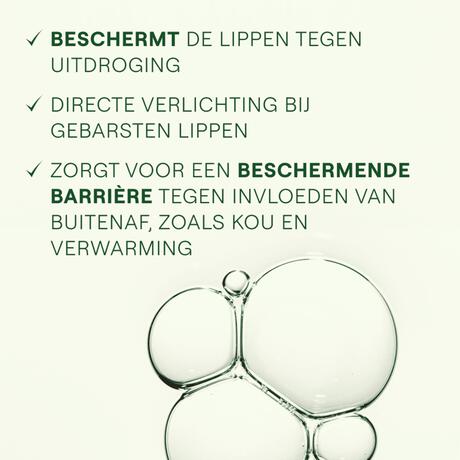 Weleda Skin Food Lip Balm