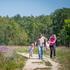 Familie Resort de Tovertuin - Weekend (Vrijdag - Maandag)