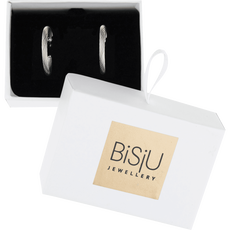 BiSjU Jewellery Oorbellen met Hangend Staaltje Silver SS