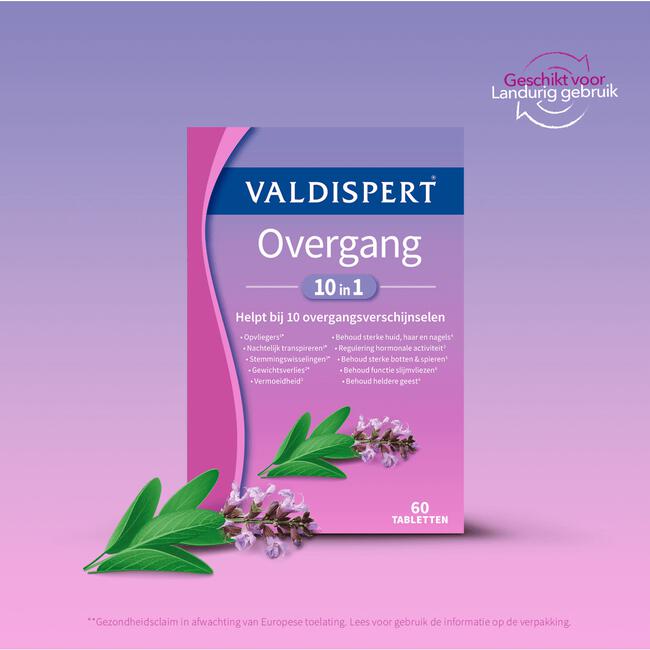 Valdispert Overgang Compleet 10in1 60 stuks