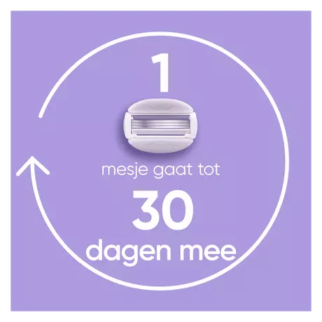 Gillette Venus ComfortGlide Breeze Scheersysteem Met 2 Navulmesjes