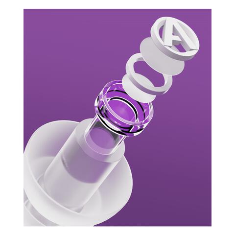 Alpine PartyPlug Pro Oordoppen Transparant 1 Paar 