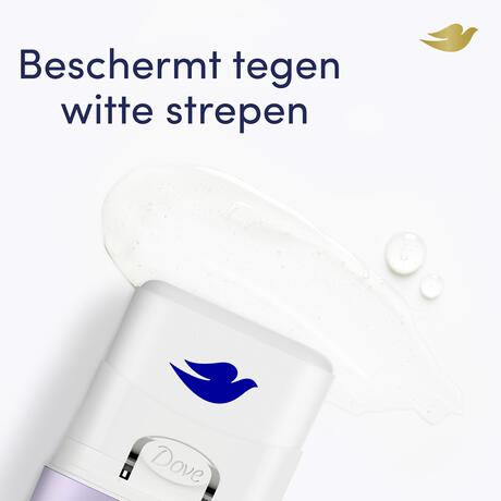 Dove Violet Antiperspirant Deodorant Refillable Starter Kit