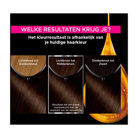 Garnier Olia Permanente Haarverf 4.0 Bruin