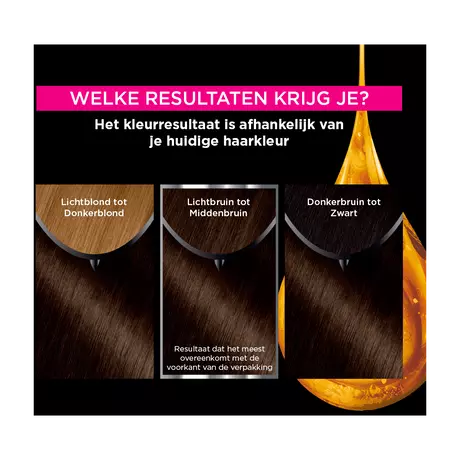 Garnier Olia Permanente Haarverf 4.0 Bruin