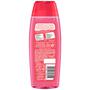 Fa Fiji Dream Douchegel 250 ML