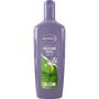 Andrélon Classic Iedere Dag Shampoo 300 ML