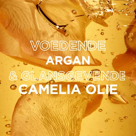 Garnier Loving Blends Argan & Cameliaolie Shampoo 300 ML