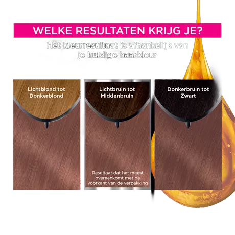 Garnier Olia Mahonie Lichtbruin 5.5 Permanent Zonder Ammoniak