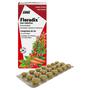 Salus Floradix IJzer Tabletten