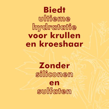 Shea Moisture Jamaican Black Castor Oil Shampoo 384 ML