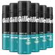 Gillette Classic Sensitive Scheergel Gevoelige Huid 200 ML Multipack 6 stuks