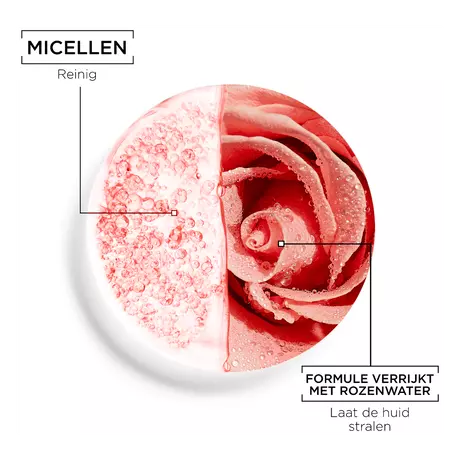 Garnier SkinActive Micellair Reinigingswater met Rozenwater 400 ML