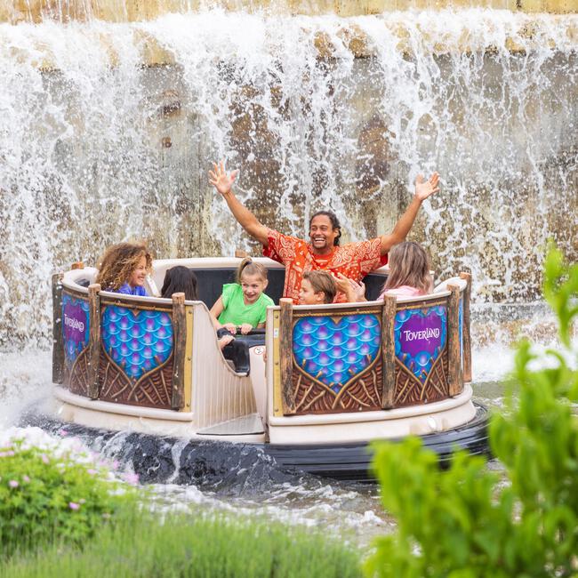 Entreeticket Toverland Kinderen 90-140 cm