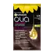 Garnier Olia Permanente Haarverf 4.15 IJs-Kastanjebruin