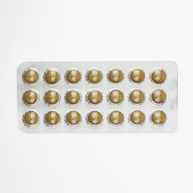 Salus Floradix Ijzer 147 Tabletten