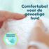 Pampers Premium Protection Luiers Maat 0 0-3 KG 22 Stuks