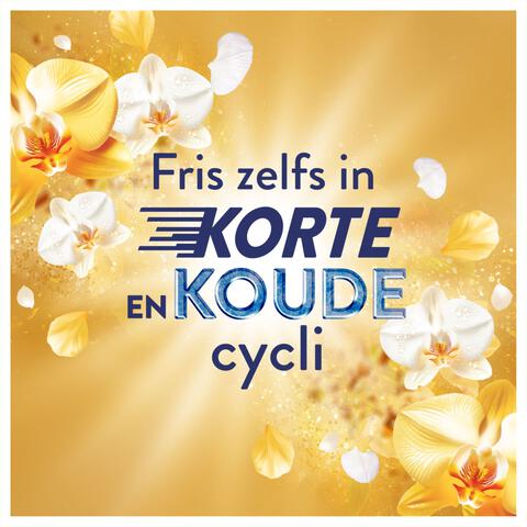 Lenor Vloeibaar Wasverzachter Amber & Orchidee 42 Wasbeurten