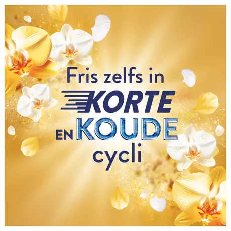 Lenor Vloeibaar Wasverzachter Amber & Orchidee 42 Wasbeurten