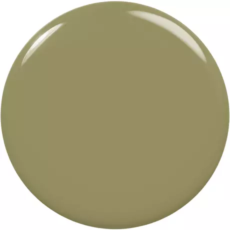 essie Expressie Nagellak Groen 320 Precious cargo-go! 10 ML
