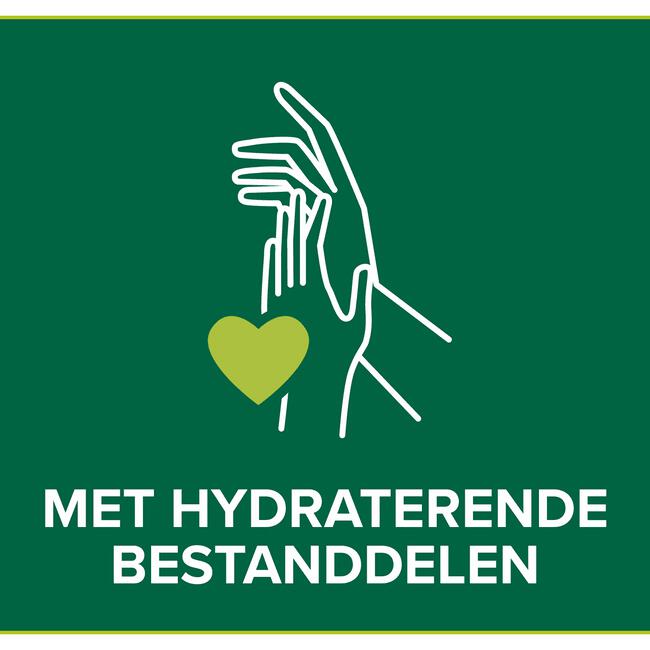 Palmolive Hygiëne Plus Family Antibacteriële Vloeibare Handzeep 300 ML