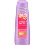 Andrélon Levendig Lang Conditioner 200 ML