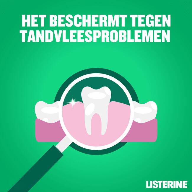 Listerine Total Care Gum Protection 500 ML