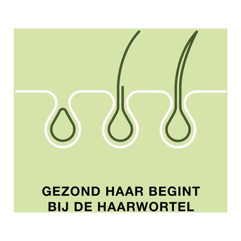 Priorin 60 Capsules Met Biotine Voor Sterk En Vol Haar Van Binnenuit