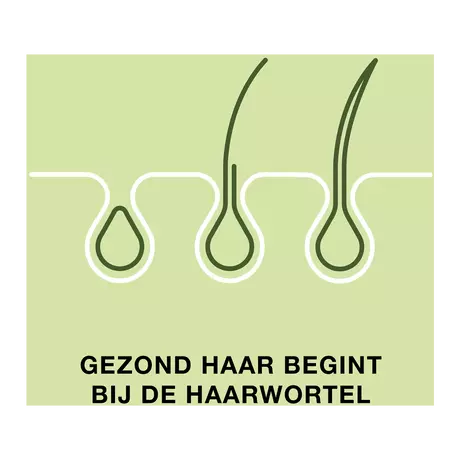 Priorin Biotine Sterk Vol Haar Binnenuit Capsules 60 stuks