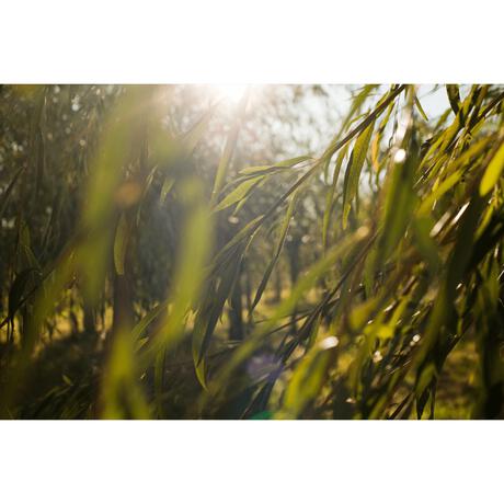 Weleda Zuiverende Reinigingsgel 100 ML