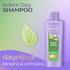 Andrélon Iedere Dag Shampoo 400 ML