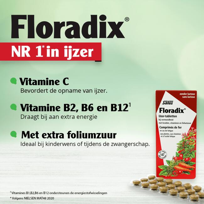 Diplomatieke kwesties afschaffen geluk Salus Floradix IJzer Tabletten 84 EA | Etos