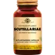 Solgar Scutellariae Capsules 50 stuks
