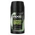 AXE Fine Fragrance Pear & Cedarwood Lower Bodyspray 100 ML