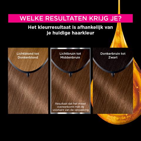 Garnier Olia Permanente Haarverf 6.0 Donkerblond