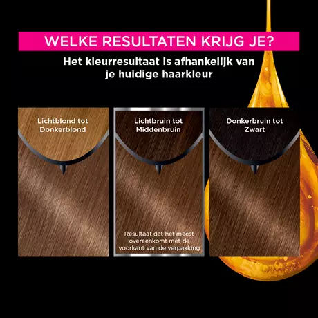 Garnier Olia Permanente Haarverf 6.0 Donkerblond