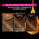 Garnier Olia Permanente Haarverf 6.0 Donkerblond