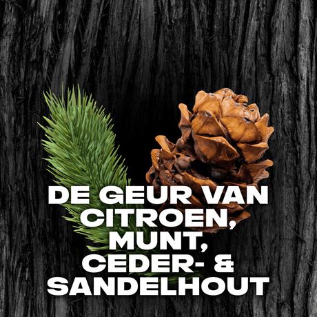 AXE Black Anti-Transpirant Deodorant Roller 50 ML