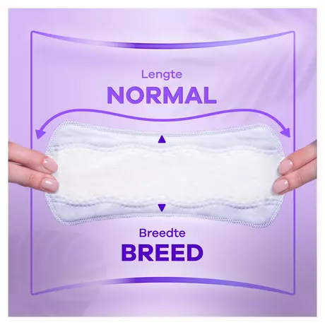Always Inlegkruisjes Daily Protect Normal Big Pack 50 stuks