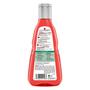 Guhl Kleurbehoud & Verzorging Shampoo 250 ML