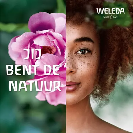 WELEDA Ogentroost Oogdruppels Ampullen