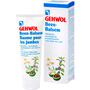Gehwol Beenbalsem 125 ML