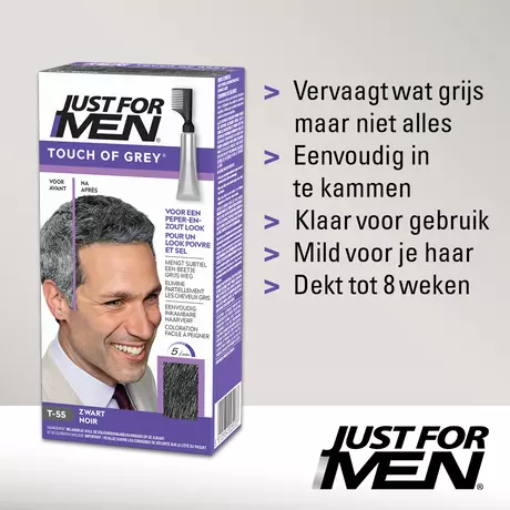 Just For Men Touch of Grey T55