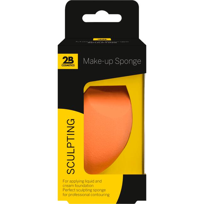 2B Sponge Sculpting