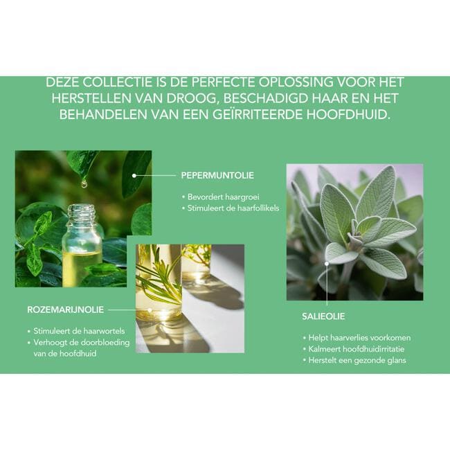 African Pride Peppermint, Rosemary en Sage Versterkende Oliel 118 ML