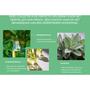 African Pride Peppermint, Rosemary en Sage Versterkende Oliel 118 ML