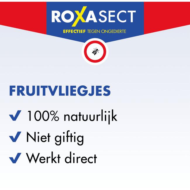 Roxasect Fruitvliegjes Vanger 1 stuk