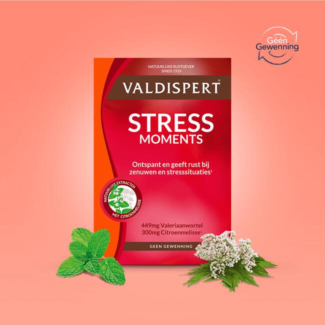 Valdispert Stress Moments 20 tabletten